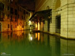 Tapeta National Geographic 495.jpg